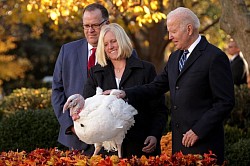 إحتفال بايدن بعيد الشكر